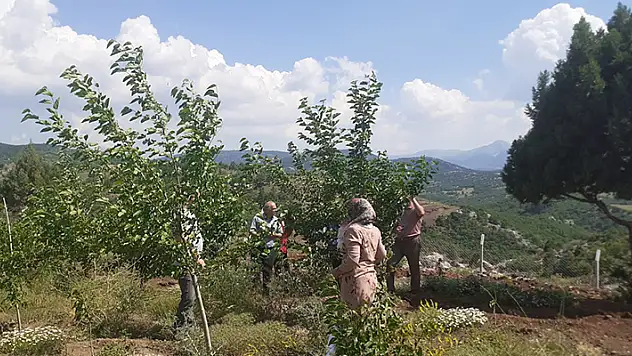 Beyşehir'de kadın çiftçiler ipekböceği kozası üretiyor