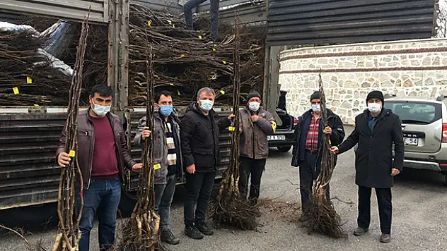 Beyşehir'de 'KOP destekliyor, Beyşehir Cevizi Gelişiyor' projesi kapsamında çiftçilere fidan dağıtıldı