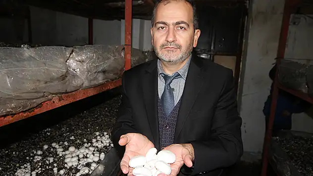 Beyşehir'de kültür mantarı yetiştiriciliği yaygınlaşıyor
