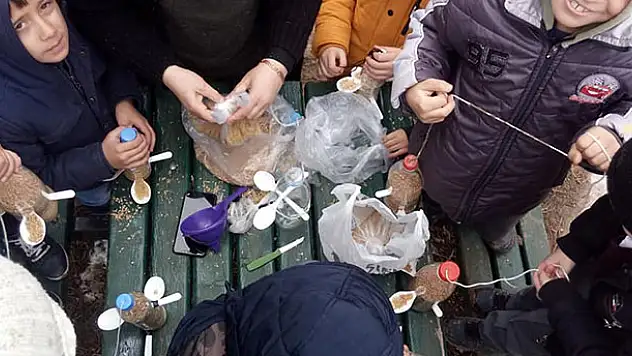 Beyşehir'de kuşlar için 'askıda yem' uygulaması