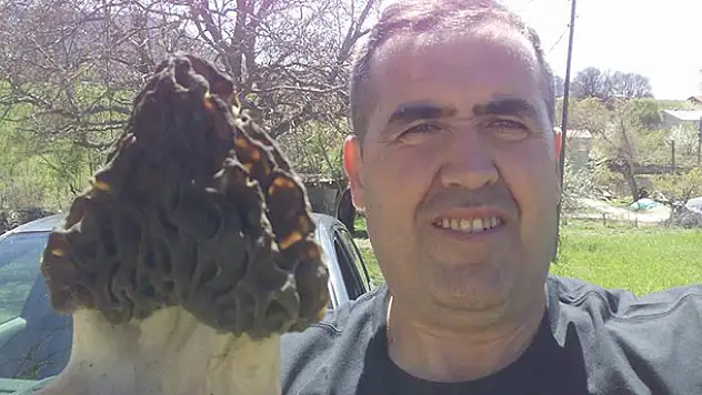 Beyşehir'de kuzugöbeği toplanmaya başlandı