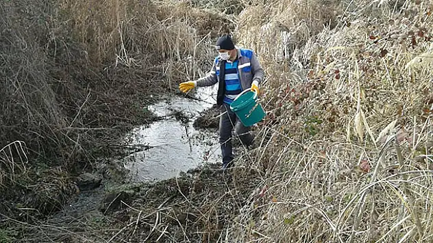 Beyşehir'de larvayla mücadele çalışmaları sürüyor