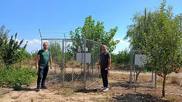 Beyşehir'de meyve bahçelerinde zararlılara karşı seferberlik
