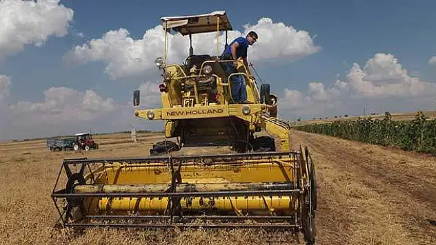 Beyşehir'de Nohut Üretimi Arttı