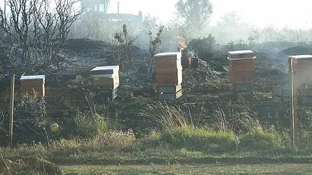 Beyşehir'de orman yangını