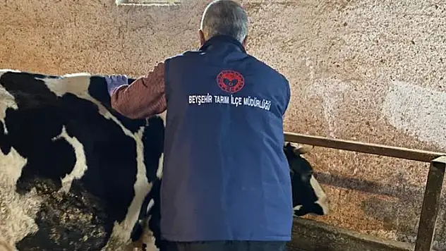 Beyşehir'de şap aşısı kampanya dönemi devam ediyor
