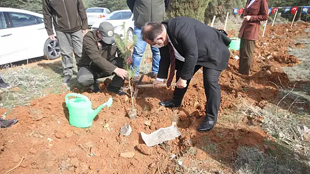Beyşehir'de şehitler ve gaziler için orman fidanları toprakla buluşturuldu