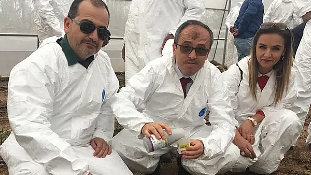 Beyşehir'de seralarda domates güvesi zararlısı ile mücadele çalışmaları
