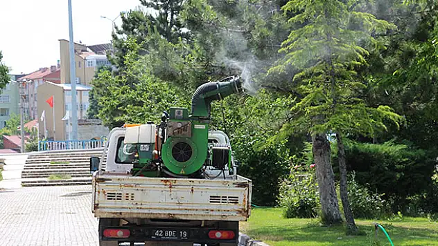 Beyşehir'de sinekle mücadele çalışmaları sürüyor