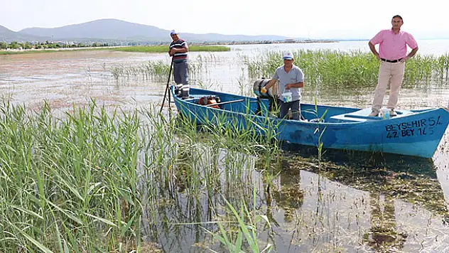 Beyşehir'de sinekle mücadele göl üzerinde de yürütülüyor