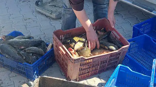 Beyşehir'de su ürünleri sıkı denetim altında