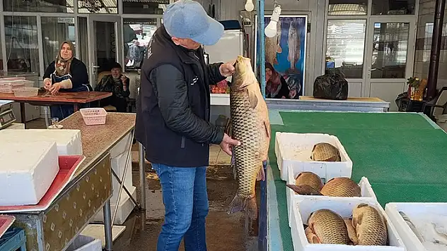 Beyşehir'de su ürünlerine yönelik denetimler sürüyor
