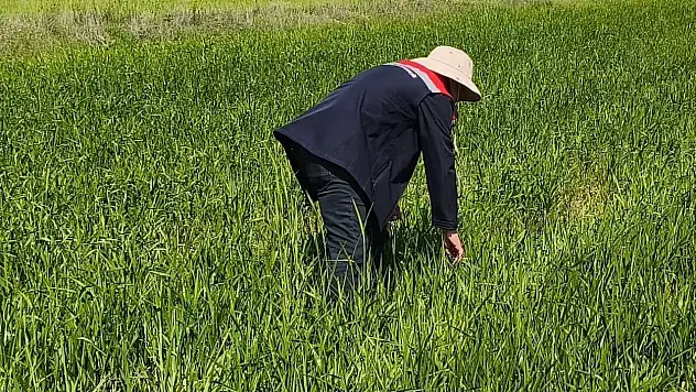 Beyşehir'de tarım arazilerine sıkı denetim