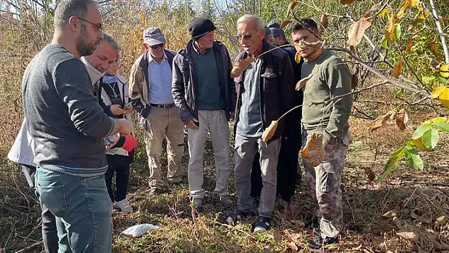 Beyşehir'de tarla faresi ile mücadelede seferberlik
