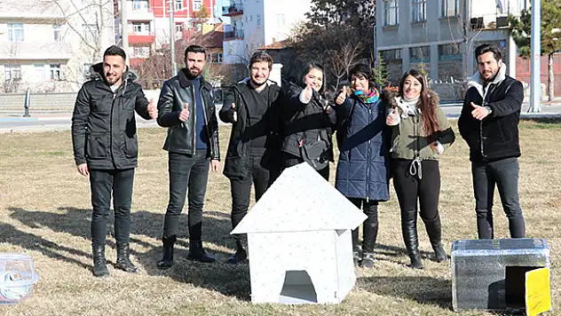 Beyşehir'de üniversite öğrencilerinden sokak hayvanlarına barınak