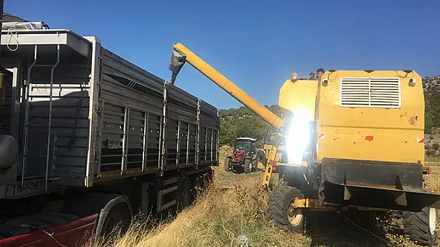 Beyşehir'de yağlık ayçiçeği hasadı başladı