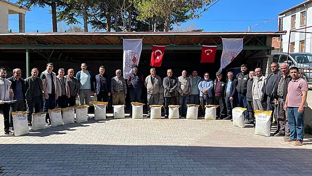 Beyşehir'de yağlık ayçiçeği tohumu dağıtıldı
