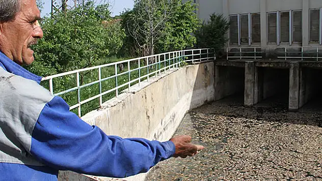 Beyşehir Gölü kenarındaki atıl sulama pompa istasyonunda toplu balık ölümü