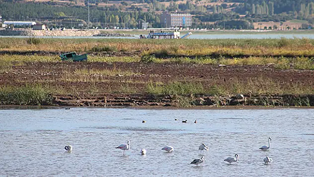 Beyşehir Gölü kıyıları kuraklık nedeniyle çekildi
