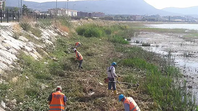 Beyşehir Gölü kıyıları ve BSA kanalında temizlik mesaisi