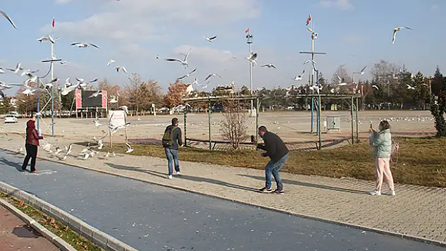 Beyşehir Gölü kıyıları yabancı turistlere kaldı