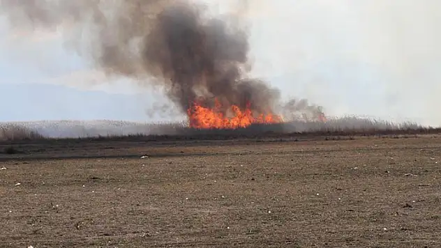 Beyşehir Gölü kıyısındaki sazlık alanda yangın çıktı
