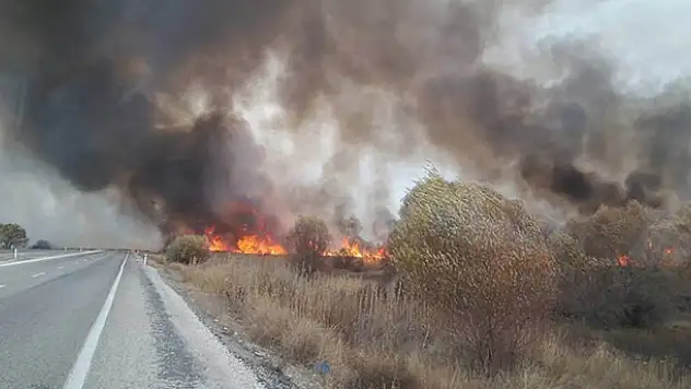 Beyşehir Gölü Milli Parkı'nda sazlık yangını