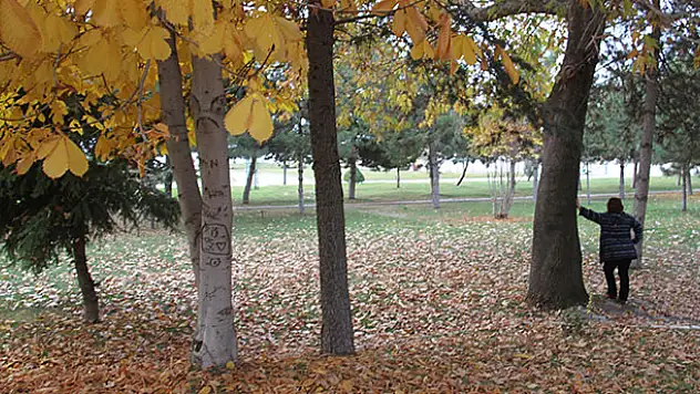 Beyşehir Gölü Milli Parkı'nda sonbahar manzaraları