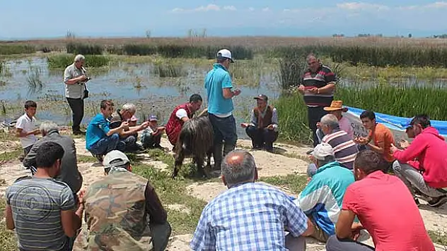 Beyşehir Gölü'nde Avlanma Sezonu Başladı