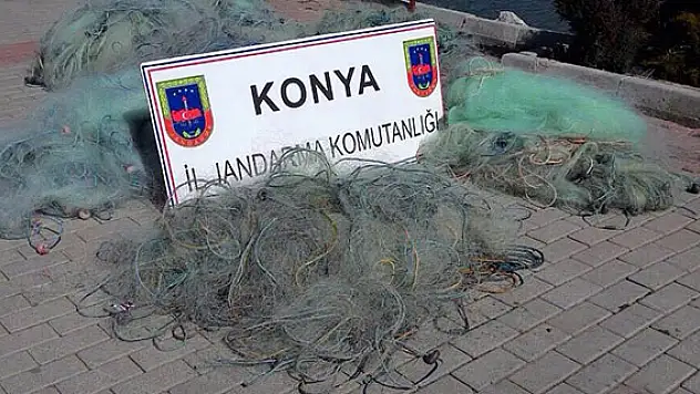 Beyşehir Gölü'nde jandarma, usulsüz avlanmaya geçit vermiyor