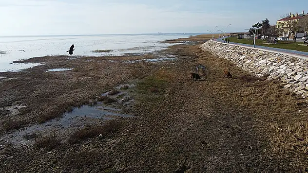 Beyşehir Gölü'nde su seviyesi beklentinin altında kaldı