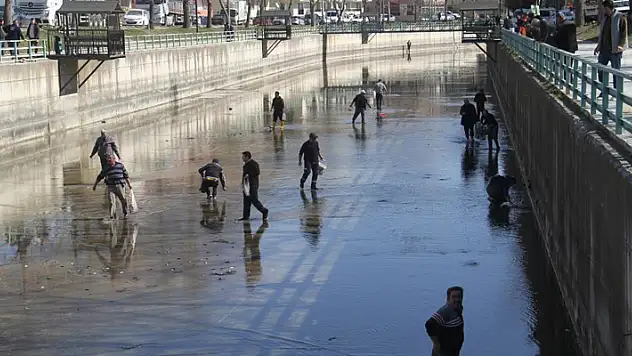 Beyşehir Gölü'nden kanala dökülen balıkları toplamak için birbirleriyle yarıştılar