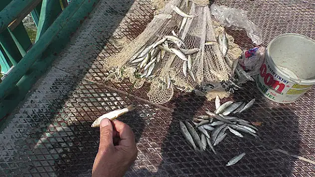 Beyşehir Gölü'nden kanala yavru balık akışına tepki