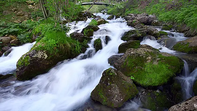 Beyşehir Gölü'nü besleyen akarsular doğal güzellikleriyle büyülüyor