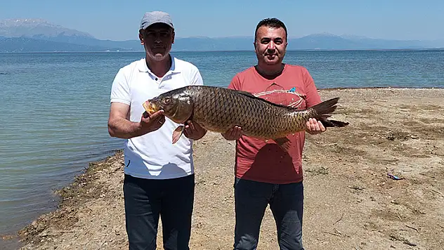 Beyşehir Gölünde ağlara vuran 17 kiloluk sazan balığı şaşırttı