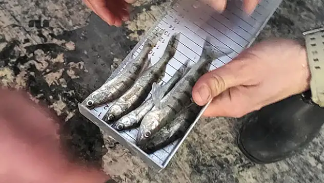 Beyşehir Gölünde avcılara denetim