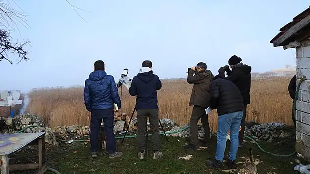 Beyşehir Gölü'nde kış ortası su kuşu sayımı tamamlandı