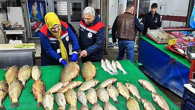 Beyşehir Gölünde su ürünlerine yönelik denetim