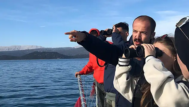Beyşehir Gölü'ndeki adada kuş gözlem etkinliği