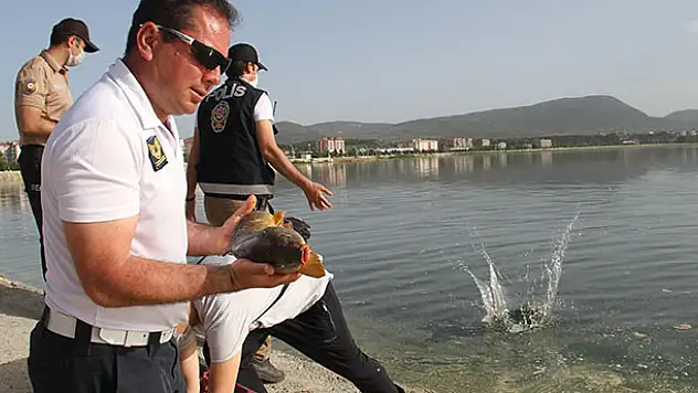 Beyşehir Gölüne balık taşıma mesaisi sürüyor