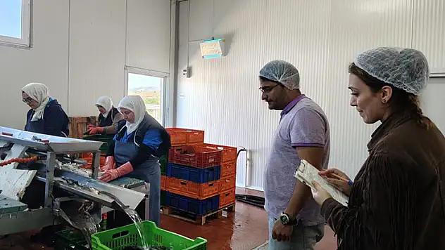 Beyşehir Gölüne kıyısı olan ilçedeki balık fabrikaları denetlendi
