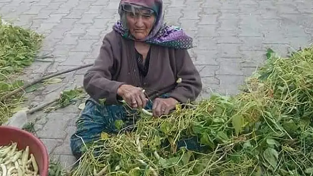 Beyşehir'in Akçabelen Çetmi Şeker Fasulyesi coğrafi işaret aldı
