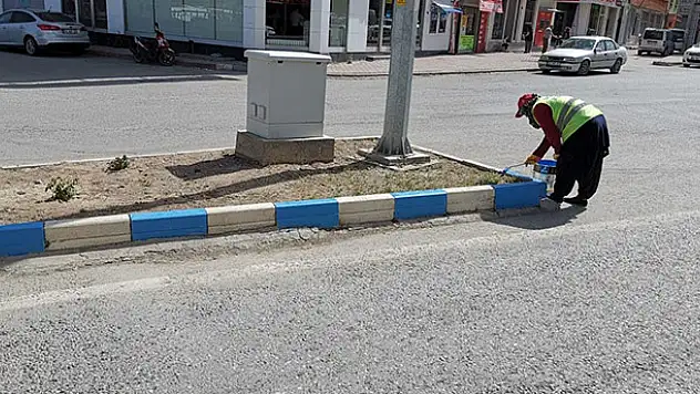 Beyşehir'in caddeleri göl mavisi renklere bürünüyor