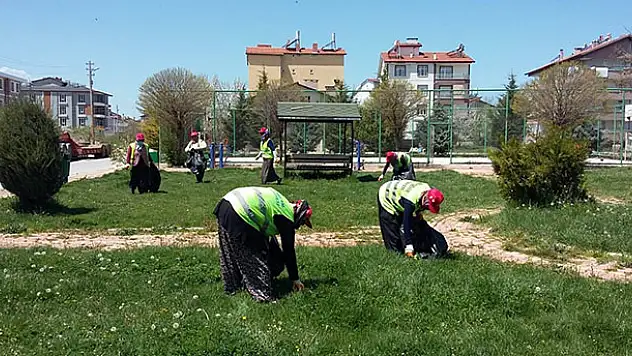 Beyşehir'in park ve bahçeleri kadınlara emanet