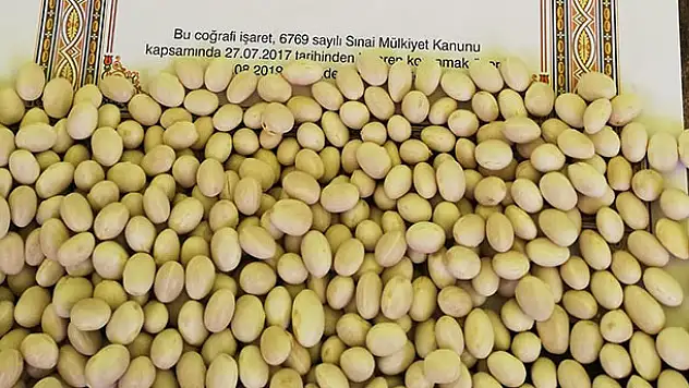 Beyşehir'in şeker fasulyesi başkentteki fuarda tanıtıldı