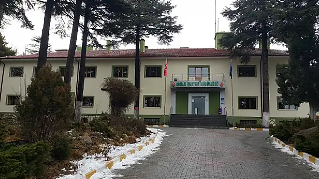 Beyşehir Orman İşletme Müdürlüğü sanat yapısı ve üst yapı işleri yaptıracak