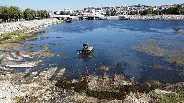 Beyşehir ve Tuz Gölü dahil  20 sulak alan, yok olma tehlikesiyle karşı karşıya
