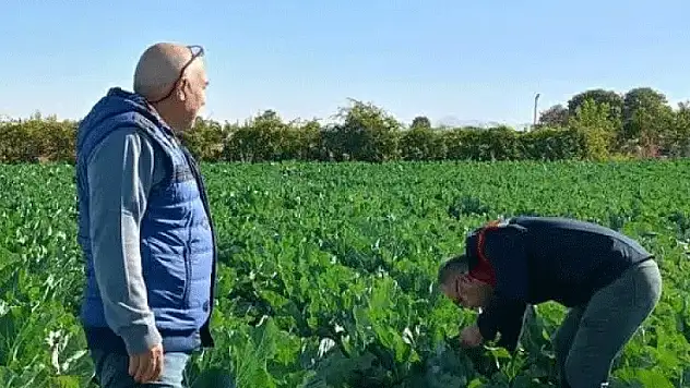 Beyşehir'de araziler incelendi