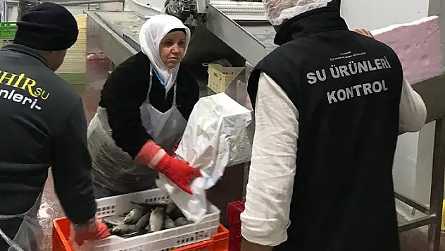Beyşehir'de balık boy yasağına uygun avlanmaya sıkı takip
