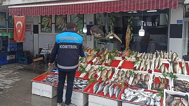 Beyşehir'de balık satış noktalarında denetim
